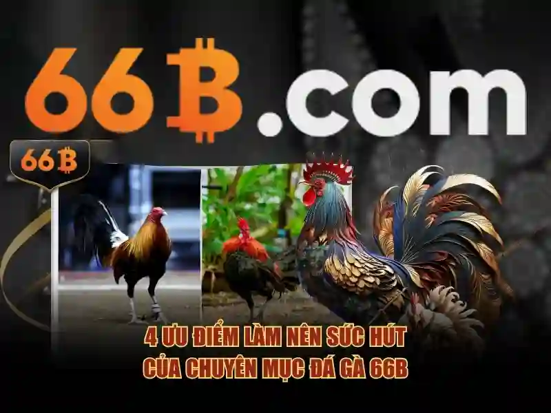 Mô phỏng rút tiền lớn 5 tỷ 